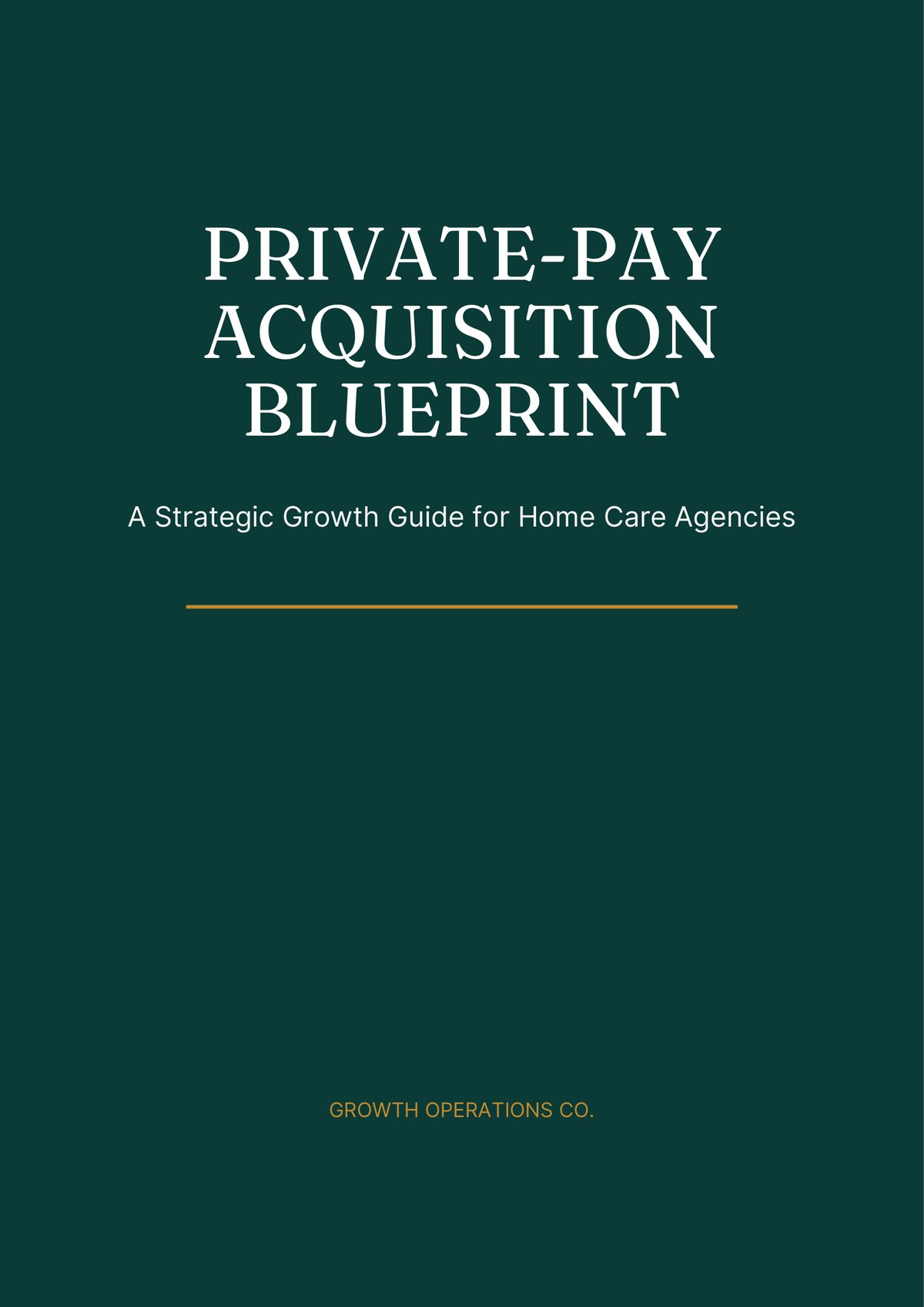 Private-Pay Acquisition Blueprint — book cover